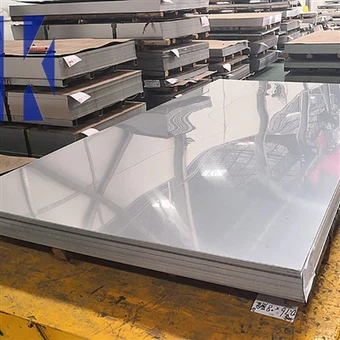 닦은 스테인리스 장 또는 격판덮개